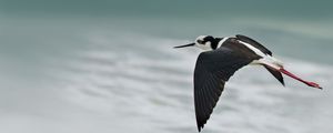 SMOOTH FLIGHT