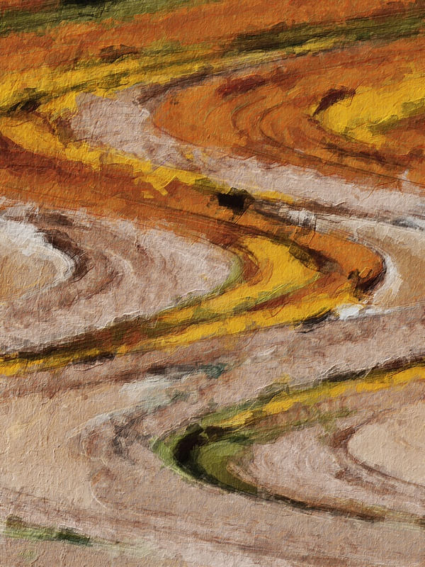 CURVAS & CURVES 2