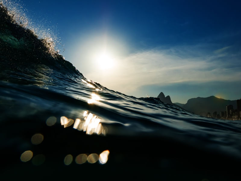 IPANEMA 2 - RPL