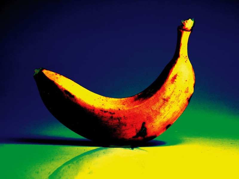 BANANA ESTILIZADA