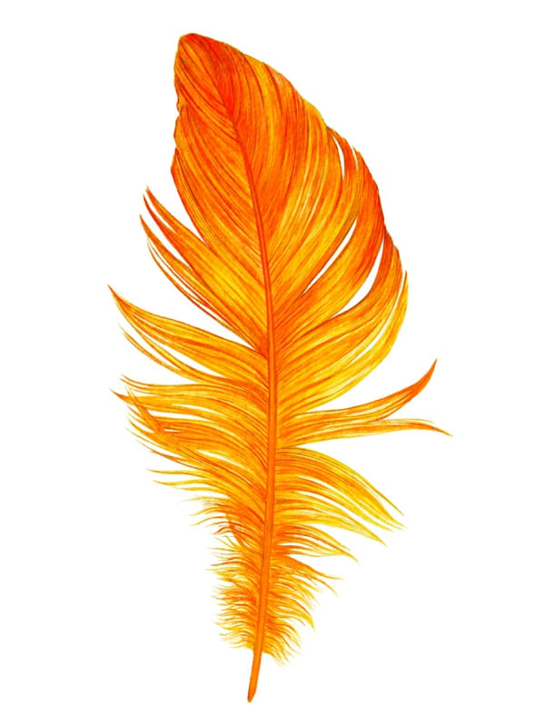 MINIMALISTA A NATUREZA 4