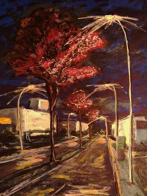 IPE ROSA NOTURNO
