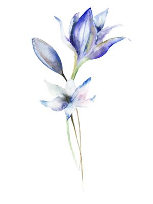 FLOR AQUARELA 01 - 90X120