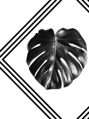 FOLHAS MINIMALISTAS 02 - 120X160