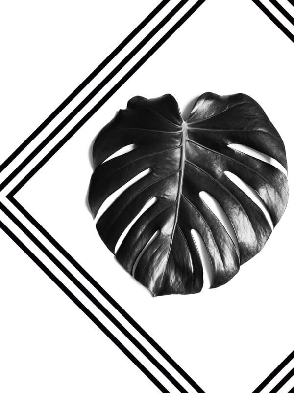 FOLHAS MINIMALISTAS 02 - 120X160