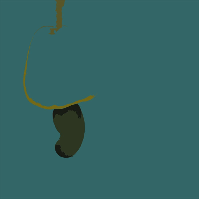 CAJU - DV