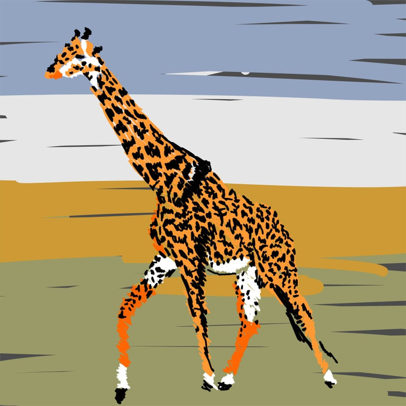 GIRAFA - DV
