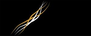 FLASHS 1 - DV