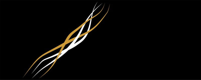 FLASHS 1 - DV