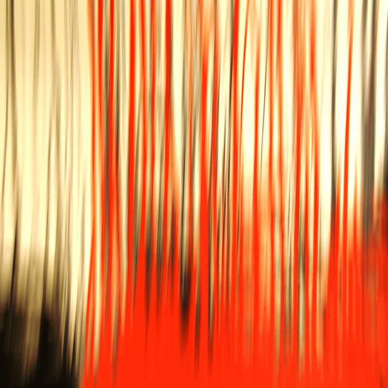 ABSTRATO COLOR