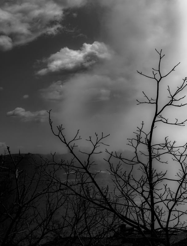 NIAGARA 3