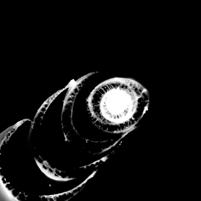 COMETA