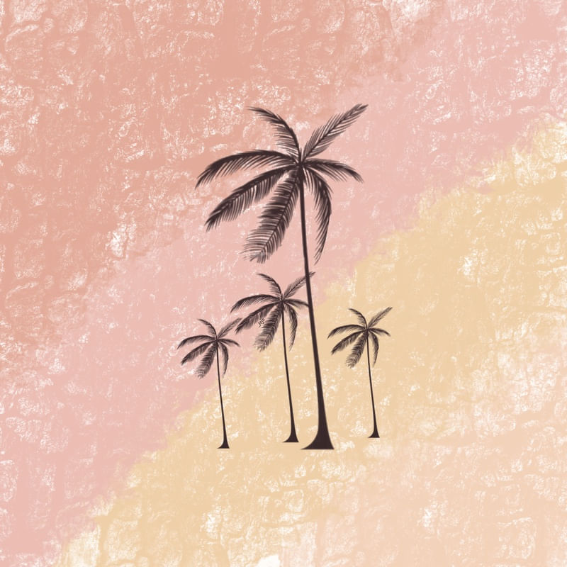 QUATRO COQUEIROS