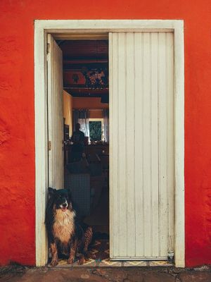 MAUI III