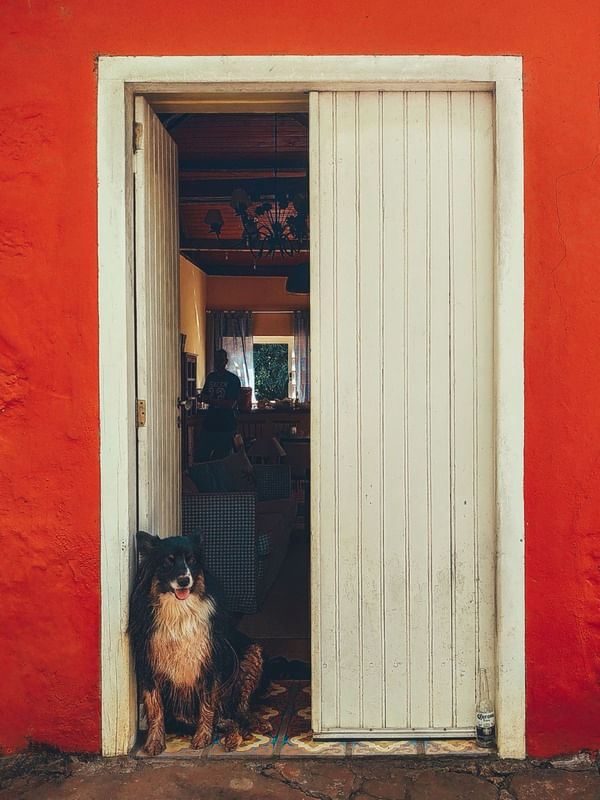 MAUI III
