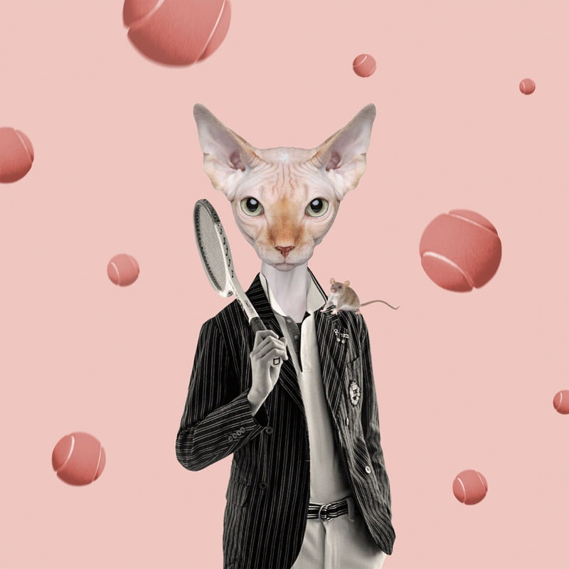 GATO BOÊMIO