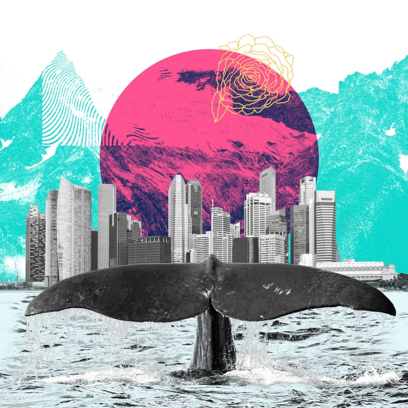 WHALE CITY