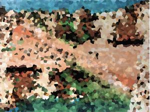 ALGARVE 7