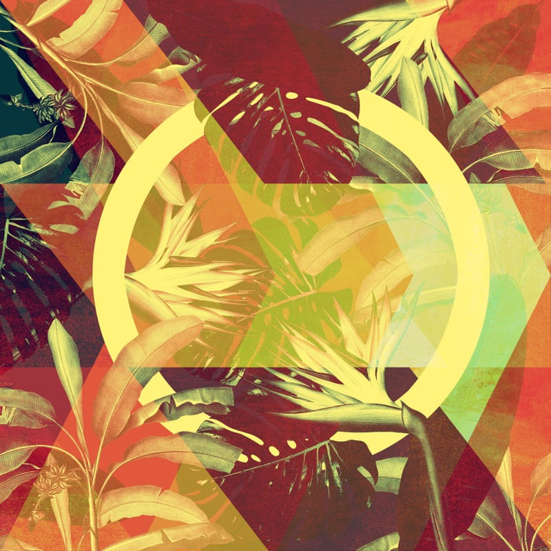 FOLHAS ARTÍSTICO CORES 001
