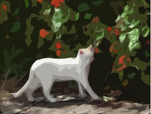 CAT IN THE FLOWERS