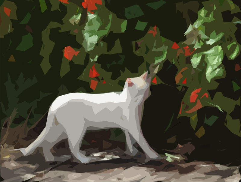 CAT IN THE FLOWERS
