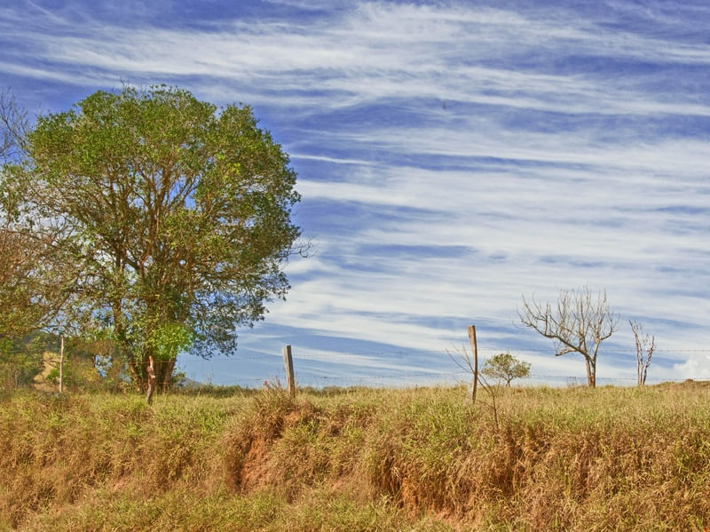 CÉU PINCELADO 2
