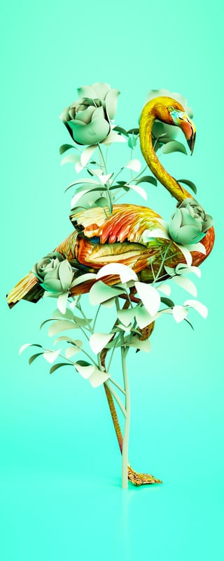 FLAMINGO INTO THE BLUE