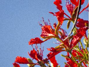 FLOR PIXEL