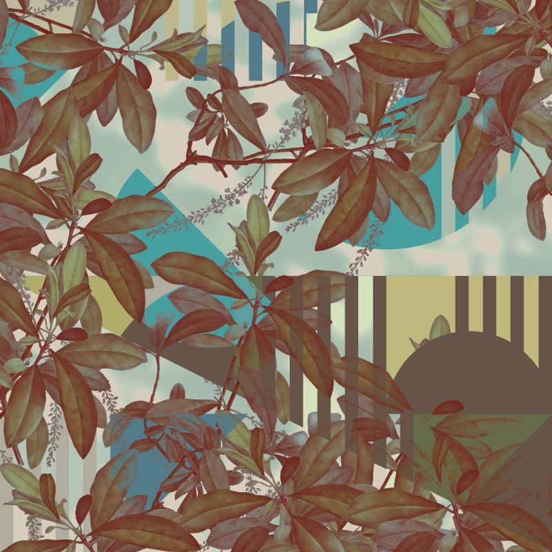 RACIONAL PLANTAS 02