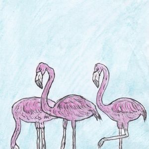 3 FLAMINGOS
