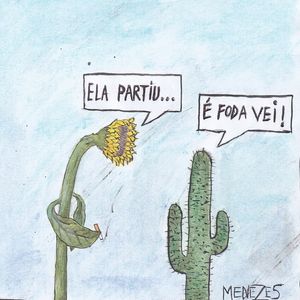GIRASSOL DO TIM