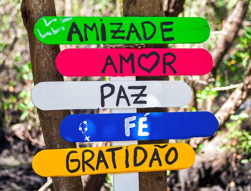 PLACAS DA VIDA