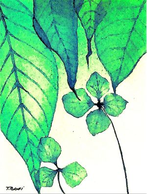 FOLHAGEM - GREEN