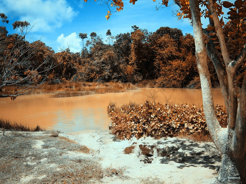 UM LAGO EM CABO DE SANTO AGOSTINHO