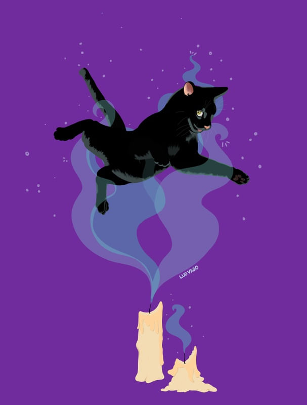 ENCHANTED BLACK CAT