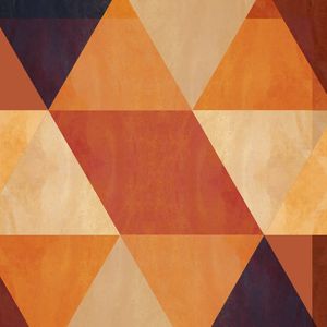 GEOMETRIA FINA 002