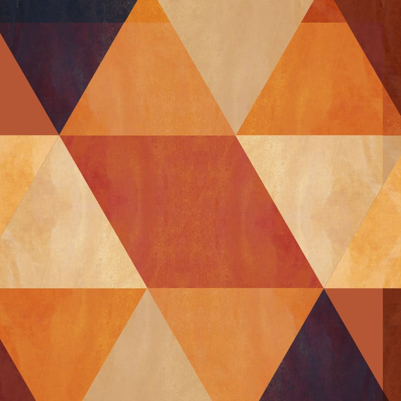 GEOMETRIA FINA 002