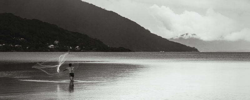 JOGANDO TARRAFA - PANO