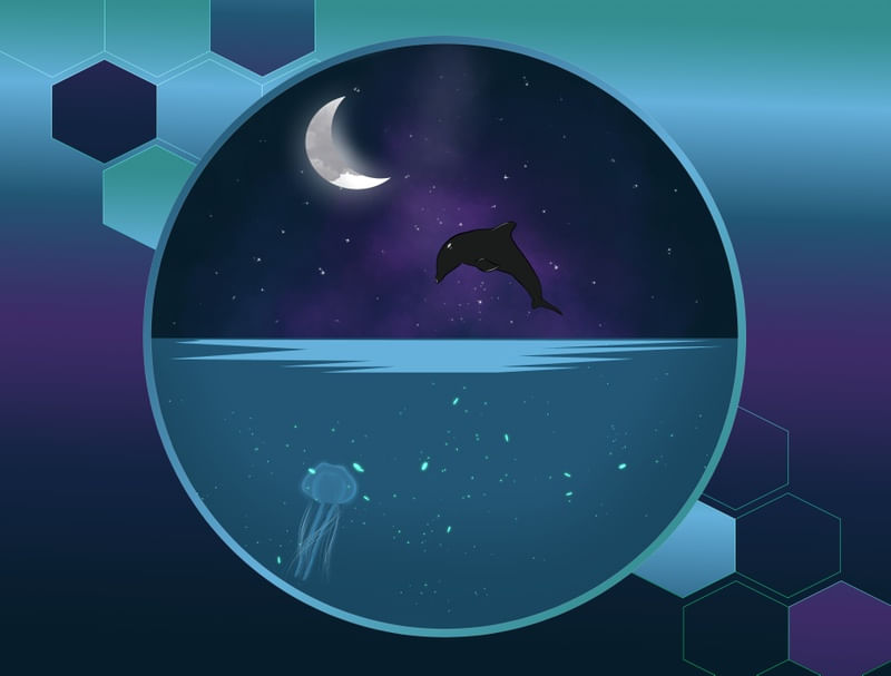 NOITE DE MAR