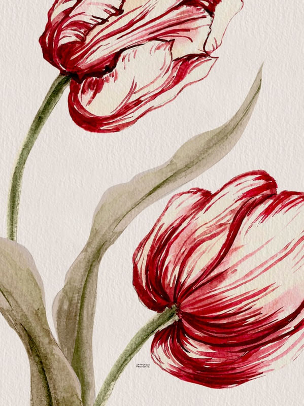 TULIPAHRS