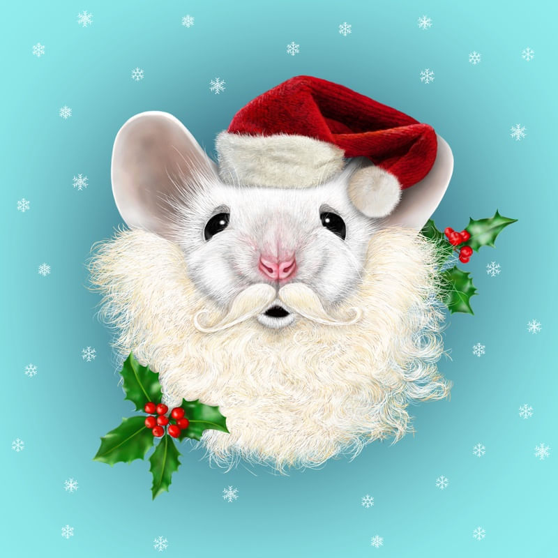 MERRY CHRISTMOUSE