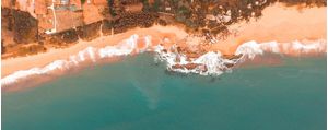 LIFE ON THE BEACH