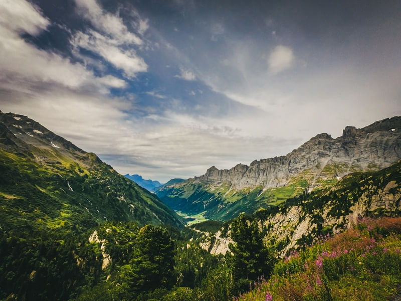 ALPES EM ESTADO BRUTO