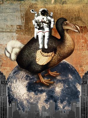 DODO DA LUA