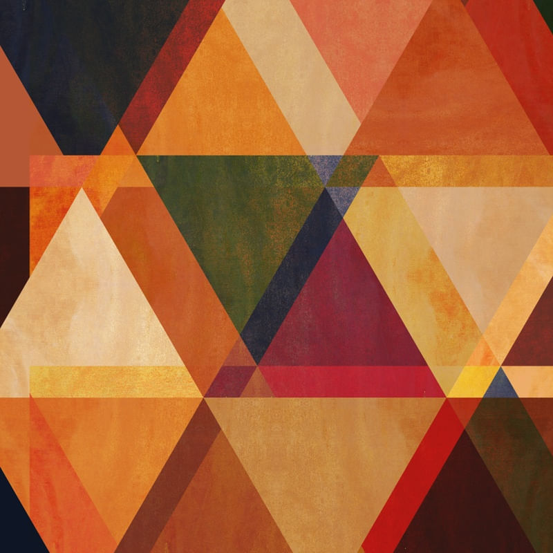 GEOMETRIA FINA 003