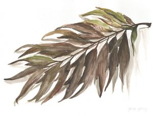 FRAGMENTO DA NATUREZA 2