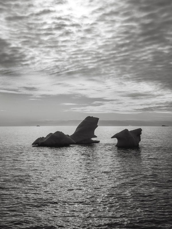 ICEBERG P&B