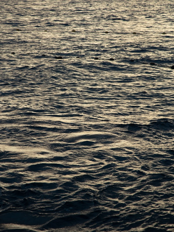 AS CORES DO OCEANO (COBRE)