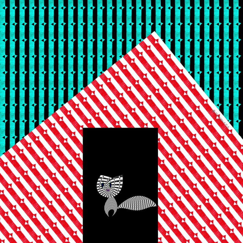 GATO NA PORTA