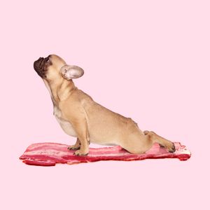 BACON & YOGA
